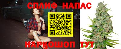 сатива Комсомольск-на-Амуре