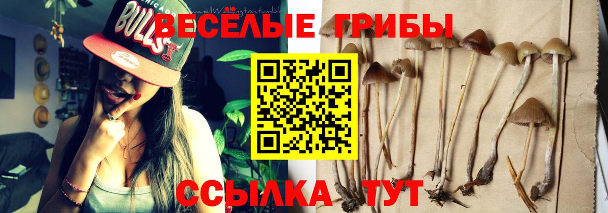 Галлюциногенные грибы мицелий Краснодар